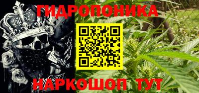 гидропоника Кунгур