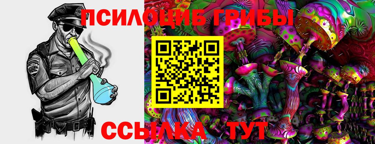 Псилоцибиновые грибы MAGIC MUSHROOMS Вичуга